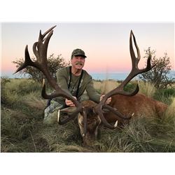 Free range red stag hunt for one hunter in La Pampa Province, Argentina (6 nights)