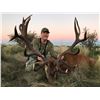 Image 1 : Free range red stag hunt for one hunter in La Pampa Province, Argentina (6 nights)