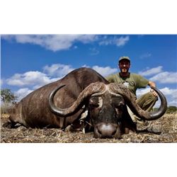Cape buffalo hunt for one in Tanzania (7 days)