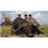 Image 3 : Cape buffalo hunt for one in Tanzania (7 days)