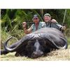 Image 4 : Cape buffalo hunt for one in Tanzania (7 days)