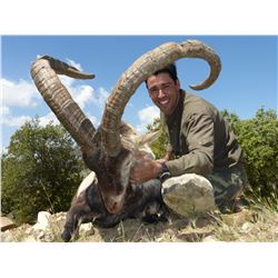 Spanish Ibex hunt for 2 hunters and 2 observers (4 days)