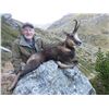Image 6 : Spanish Ibex hunt for 2 hunters and 2 observers (4 days)