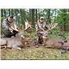 Image 5 : Whitetail hunt for one in Fayetteville, PA (4 days)