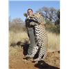 Image 1 : Leopard hunt in Namibia for one hunter (14 days)