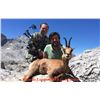 Image 6 : Two Iberian Red Deer for two hunters in Spain
