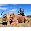Image 3 : 7 day trip for one hunter and one non-hunter for the chance to dart a white rhino in South Africa