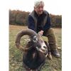 Image 4 : 7 day trip for one hunter and one non-hunter in Macedonia for a European Mouflon Sheep hunt.
