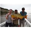 Image 2 : High volume dove shooting and golden dorado fishing in Argentina for 4 hunters (4 days)