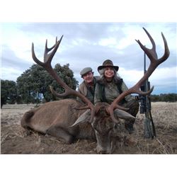 Iberian red deer, European fallow deer, or Iberian Mouflon sheep in Spain (4 days)