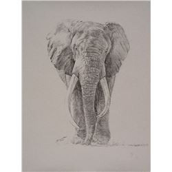 "Old Tembo" by John Banovich