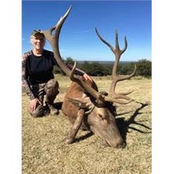 Red stag hunt for one hunter in La Pampa, Argentina (5 days)