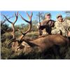 Image 2 : Red stag hunt for one hunter in La Pampa, Argentina (5 days)