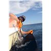 Image 5 : 3 day tower boat fishing package for two in Costa Rica (5 total days)