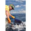Image 7 : 3 day tower boat fishing package for two in Costa Rica (5 total days)