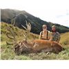 Image 1 : Red stag hunt for two hunters in Canterbury, New Zealand (4 days)