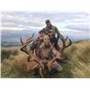 Image 2 : Red stag hunt for two hunters in Canterbury, New Zealand (4 days)