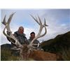 Image 4 : Red stag hunt for two hunters in Canterbury, New Zealand (4 days)