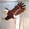 Image 2 : American Bald Eagle in Flight Wood Carving