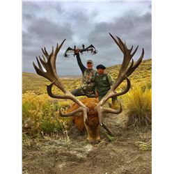 5- Full day Argentina big game hunt for one hunter including 1 Red Stag up to 320 SCI