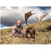 Image 5 : 5- Full day Argentina big game hunt for one hunter including 1 Red Stag up to 320 SCI