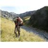 Image 5 : Tahr hunt for one hunter in Wanaka, New Zealand (5 days)