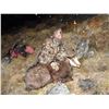 Image 7 : Tahr hunt for one hunter in Wanaka, New Zealand (5 days)