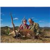 Image 2 : Scimitar Horned Oryx, Blackbuck, and Wildebeest hunt for one hunter and one observer in the Texas hi