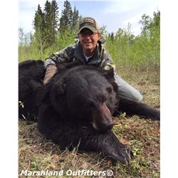 Spring black bear hunt for 1 hunter in Saskatchewan, Canada (5 days)
