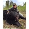 Image 1 : Spring black bear hunt for 1 hunter in Saskatchewan, Canada (5 days)