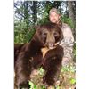 Image 3 : Spring black bear hunt for 1 hunter in Saskatchewan, Canada (5 days)