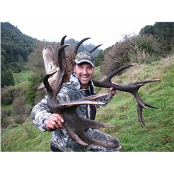 5 day, 4 night red stag hunt scoring up to 350 SCI for one hunter in New Zealand