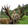 Image 2 : 5 day, 4 night red stag hunt scoring up to 350 SCI for one hunter in New Zealand