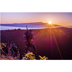 Axis hunt in Lanai, Hawaii for 2 hunters (2 days)