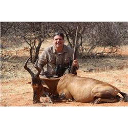 Gemsbok, red hartebeest, kalahari springbuck, and warthog hunt for 2 hunters and 2 observers in Nam