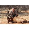 Image 1 : Gemsbok, red hartebeest, kalahari springbuck, and warthog hunt for 2 hunters and 2 observers in Nam