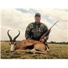 Image 3 : Gemsbok, red hartebeest, kalahari springbuck, and warthog hunt for 2 hunters and 2 observers in Nam