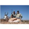 Image 2 : 7 day trip for one hunter and one non-hunter to pursue a golden wildebeest, a copper springbuck, and
