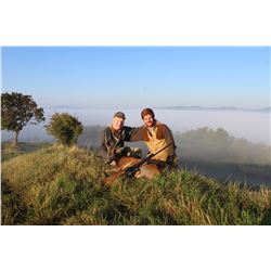 Roe deer hunt for 2 hunters in Umbria, Italy (3 days)