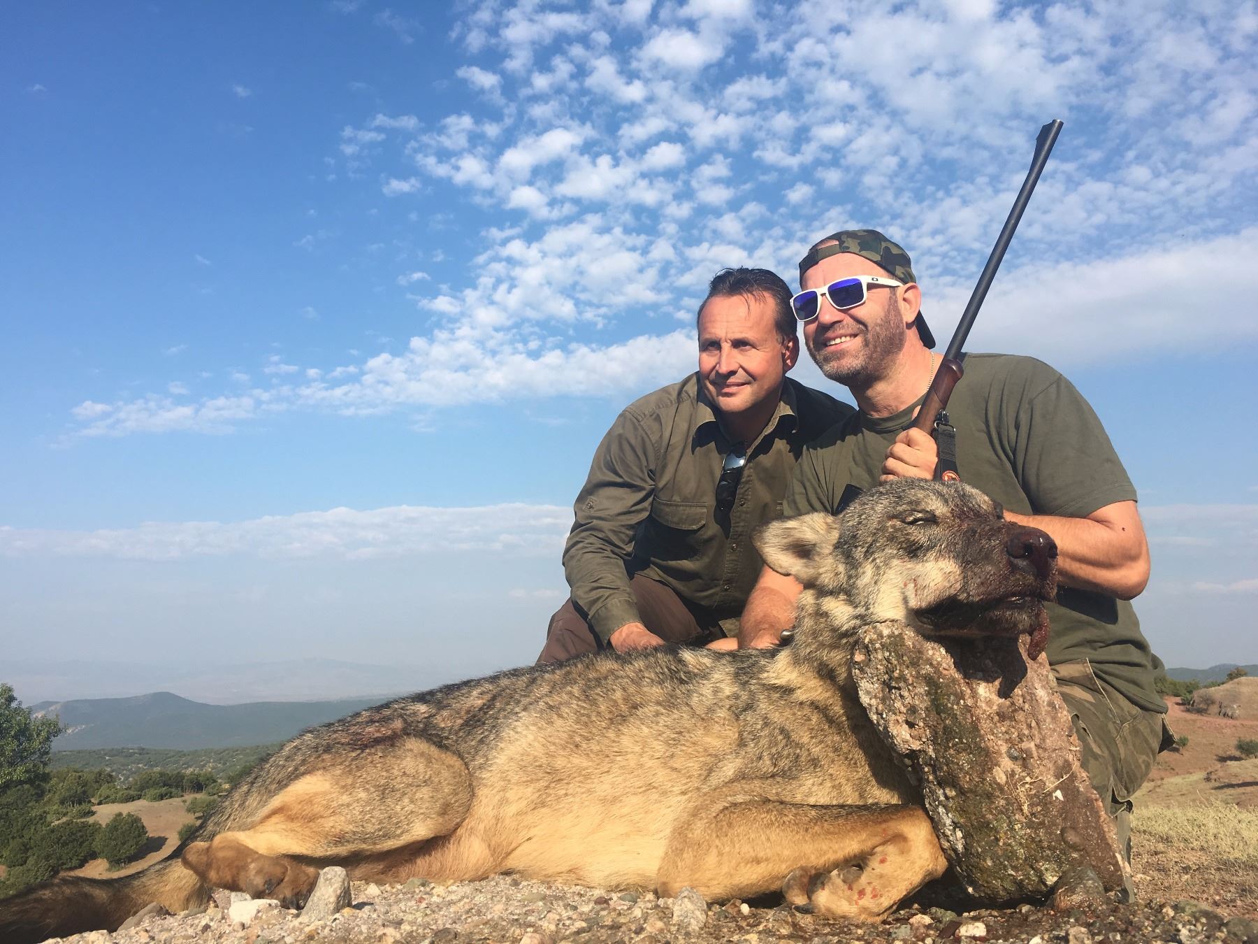 European grey wolf hunt in Macedonia for one hunter and one observer (7