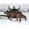 Image 5 : European grey wolf hunt in Macedonia for one hunter and one observer (7 days)
