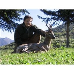 Roe deer hunt in Spain for two hunters and two observers (4 days)