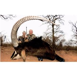 Sable hunt for one in Limpopo Province, South Africa (10 days)