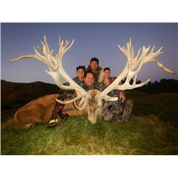 2 hunters and 2 non hunters for Stag up to 320 SCI in New Zealand (5 days)