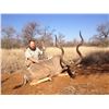 Image 4 : Six day hunt for an impala, blesbuck, blue wildebeest, and warthog for one hunter in Limpopo Provinc