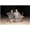 Image 5 : Six day hunt for an impala, blesbuck, blue wildebeest, and warthog for one hunter in Limpopo Provinc