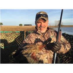 High volume dove, duck, pigeon, and perdiz hunt in Uruguay for 4 hunters (4 days)