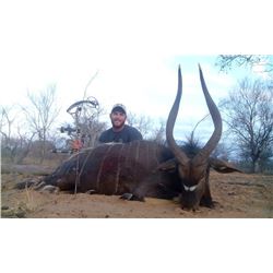 10-day bowhunting trip for two hunters to split the trophy fees for one golden wildebeest and one bl