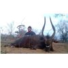 Image 1 : 10-day bowhunting trip for two hunters to split the trophy fees for one golden wildebeest and one bl