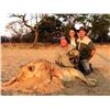 Image 3 : 10-day bowhunting trip for two hunters to split the trophy fees for one golden wildebeest and one bl